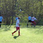 SVB - TSV Laudenbach am 24. April 2015