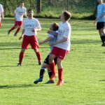 SVB - TSV Laudenbach am 24. April 2015