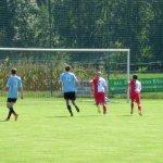 SVB - TSV Laudenbach am 23. August 2015