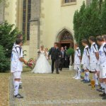 Der SVB traut sich 2015