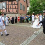 Der SVB traut sich 2015