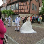 Der SVB traut sich 2015