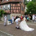 Der SVB traut sich 2015