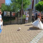 Der SVB traut sich 2015