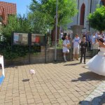 Der SVB traut sich 2015