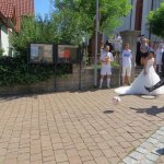 Der SVB traut sich 2015