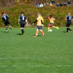 SGM FCCII/SVB - Markelsheim/Elpersheim am 22.10.2017