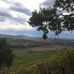 Tennis Wanderung am 03. Oktober 2021